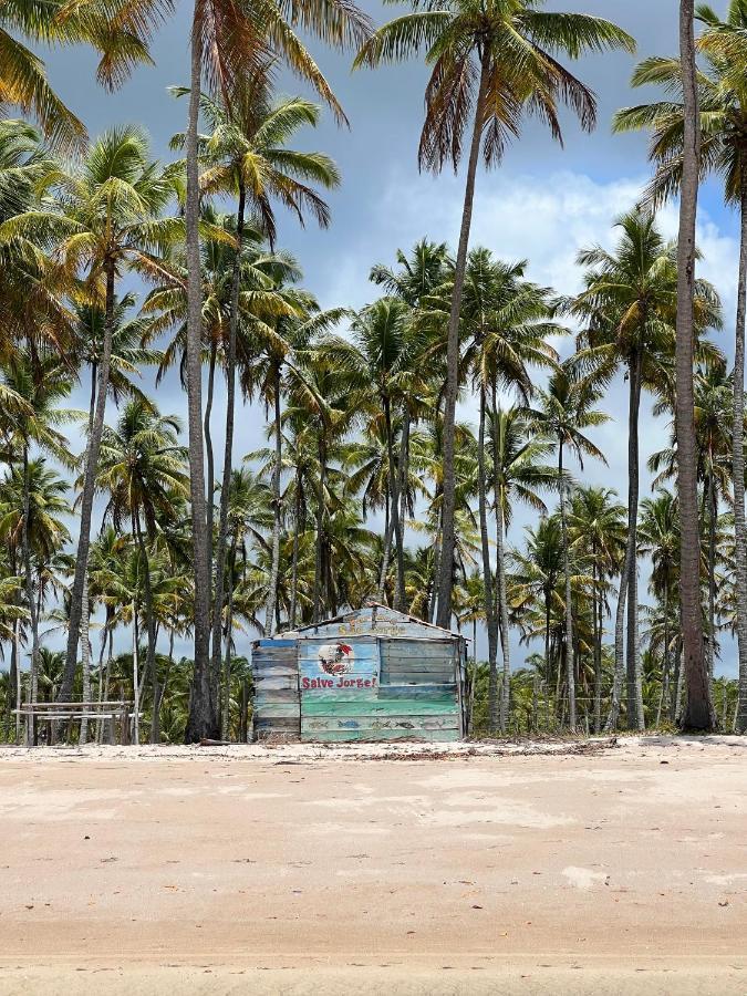 Pousada Mare Alta Em Boipeba Velha Boipeba ภายนอก รูปภาพ